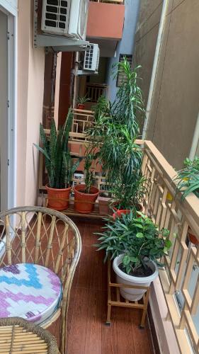 a balcony with potted plants and a table and chairs at Rudram Hotel Yoga & Ayurveda Retreat in Rishīkesh