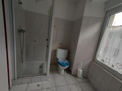 une salle de bain avec douche et toilettes dans l'établissement Gîte appart les marmottes, à Langogne