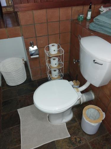 a bathroom with a toilet and a basket of toilet paper at De La Grace in Potchefstroom