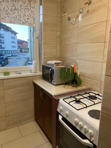 Kuchyň nebo kuchyňský kout v ubytování Apartman Miškec