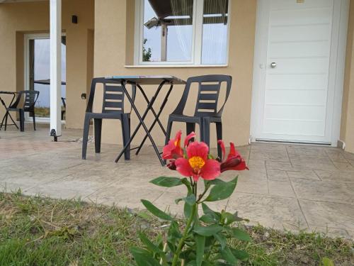 a flower in front of a table and two chairs at sylias village in Skála Korinoú