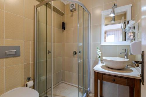a bathroom with a shower and a sink and a toilet at Agora Guesthouse in Istanbul