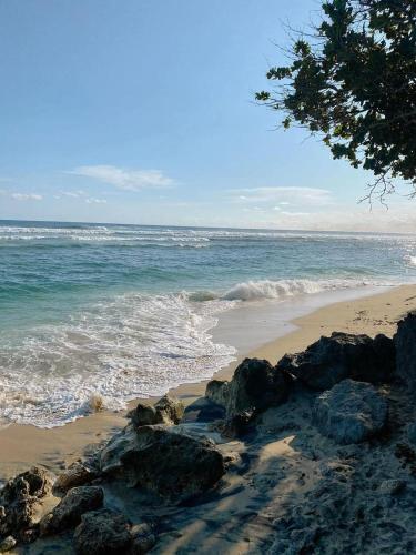 a beach with some rocks and the ocean at Guest House 88 Pandawa in Nusa Dua