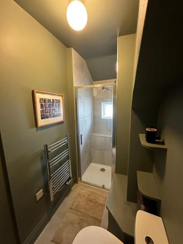 a bathroom with a shower with a toilet and a sink at Westways House in Cobh