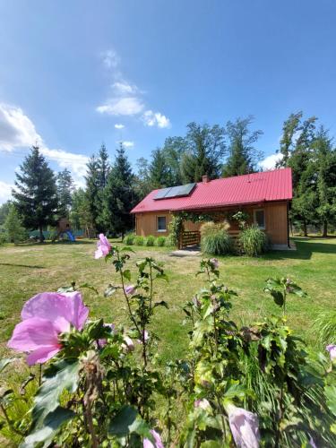 Gallery image of ŚwierkoweAgro - dom na wyłączność nad Zalewem Biszcza-Żary in Żary