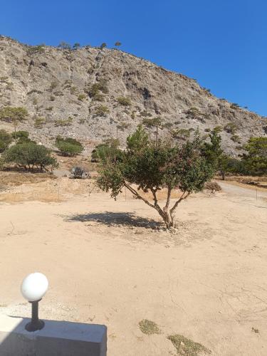 Un paisaje natural cerca de la casa de huéspedes