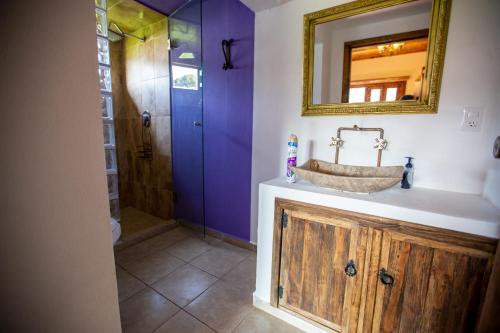 un bagno con lavandino, specchio e doccia di Hotel Estancia 1928 a Zacatlán