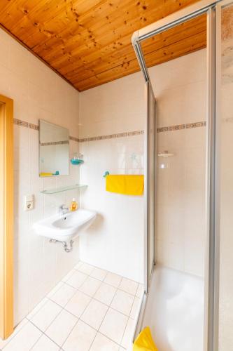 a bathroom with a shower and a sink at Pension Zum Schotten in Zella-Mehlis