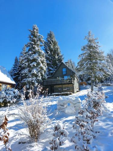 Chata 100 Český Jiřetín durante el invierno