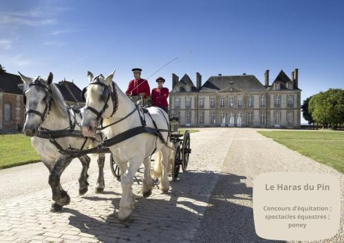 two people riding on a horse drawn carriage in front of a castle at La maison de Méguillaume proche Haras du Pin - 5 pers in Gouffern en Auge