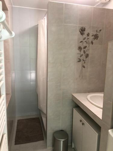 une salle de bain avec une douche, des toilettes et un lavabo dans l'établissement T2 avec terrasse calme et ensoleillée, à Saint-Claude