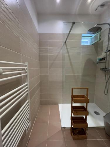 une salle de bain avec une douche avec une porte vitrée dans l'établissement La Montplaisir Maison jardin Arles, à Arles