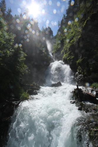a stream of water in the middle of a forest at Hotel Alpenkönigin - ALPINE LUXURY in See