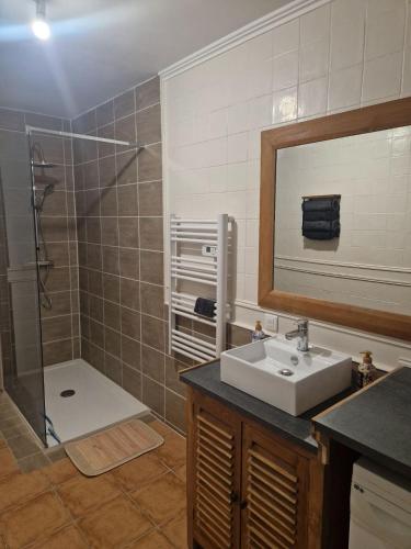 une salle de bain avec un lavabo et une douche avec un miroir dans l'établissement Maison au Choux Loiret, à Les Choux