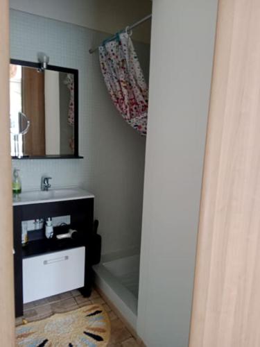 une salle de bain avec un lavabo et un miroir dans l'établissement T2 climatisé avec jardin privatif et stationnement, à Perpignan