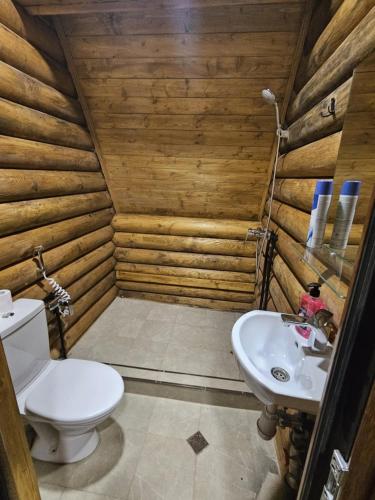 Koupelna v ubytování Eco House Bazaleti Lake