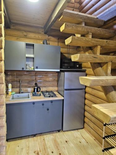 Kuchyň nebo kuchyňský kout v ubytování Eco House Bazaleti Lake