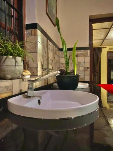 a bathroom with a sink with a potted plant at Diyon Holiday Bungalow in Bandarawela