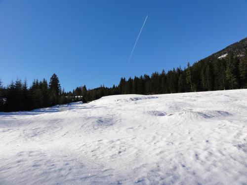 a snow covered hill with trees in the background at Nico's Place in Jenig