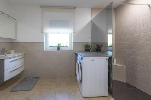 ラドヴリツァにあるApartma Matevžのキッチン(洗濯機、シンク付)