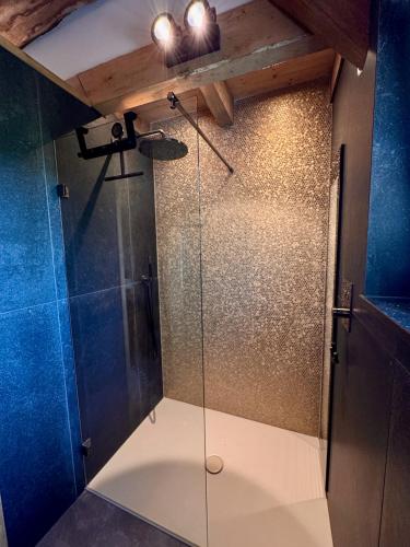 a shower with a glass door in a bathroom at Op 't Platteland in Haps