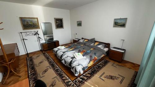 a bedroom with a bed in a room at MZ Apartment in Trenčín