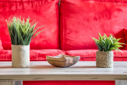 two vases with plants on a table with a couch at Charmant appartement avec balcon et commodités modernes in Samoëns