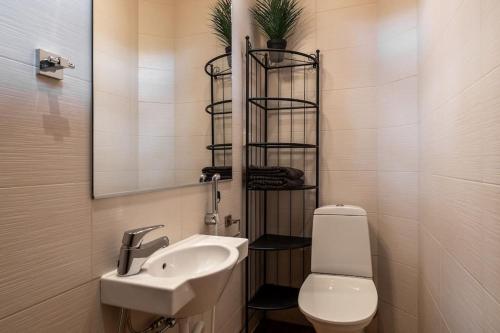 ユッラスヤルヴィにあるPiiponpirtti by Hi Ylläsの洗面台、トイレ、鏡のあるバスルーム