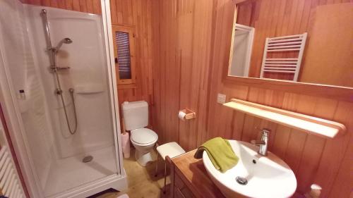 a bathroom with a shower toilet and a sink at Chalet Les Rennes REN MOUNTAIN & NATURE 10 Pers in Châtel