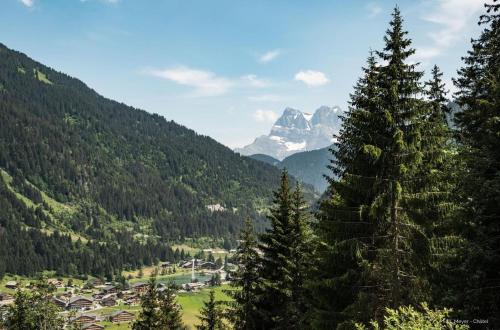 a view of a town in a valley with a mountain at Chalet Les Rennes REN MOUNTAIN & NATURE 10 Pers in Châtel