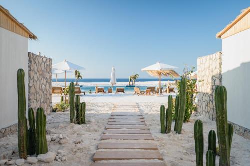 a pathway to the beach with cactuses and umbrellas at Marmarica Boutique Cabanas - Ras El Hekma - North Coast Top Rated Luxury Stay in Marsa Matruh