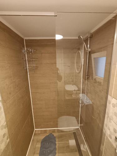 a bathroom with a shower with a toilet and a sink at Galoma Korana in Gornji Velemerić