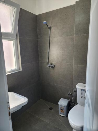 a bathroom with a shower and a toilet at Meteor Apartments Golem in Golem