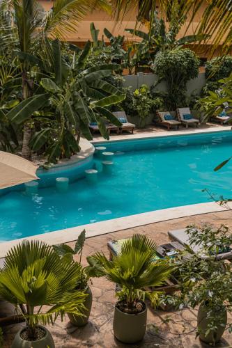 a swimming pool with palm trees and lounge chairs at Mr Kahawa in Paje