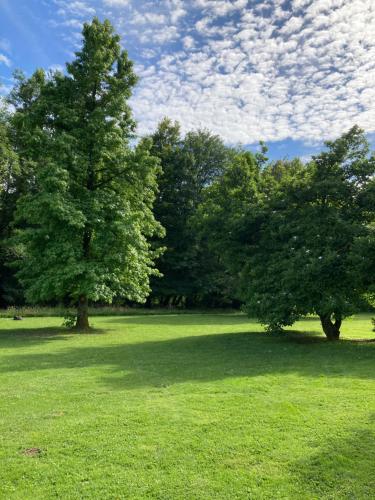 two trees in a field with green grass at L'aire des oiseaux in Muno
