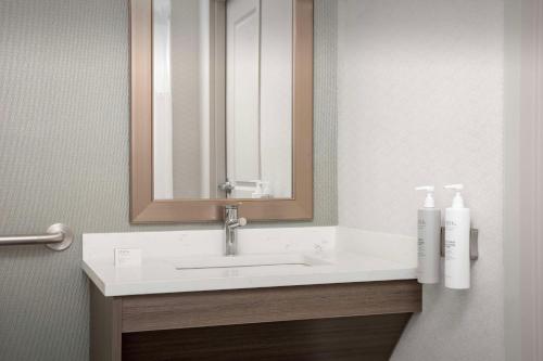 a bathroom with a white sink and a mirror at Hilton Garden Inn Philadelphia-Fort Washington in Fort Washington