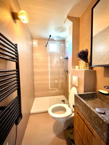 une petite salle de bain avec toilettes et douche dans l'établissement Jerickais Appartement 3 pièces à Pantin, à Pantin