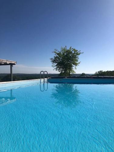 une grande piscine bleue avec un arbre en arrière-plan dans l'établissement Villa dans le Périgord, à Couze-et-Saint-Front