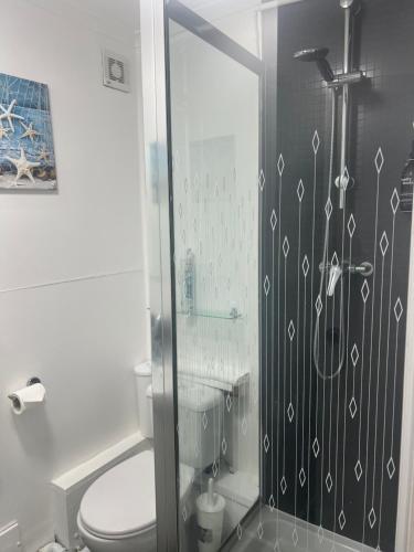 a bathroom with a glass shower with a toilet at Duke of Buckingham in Portsmouth