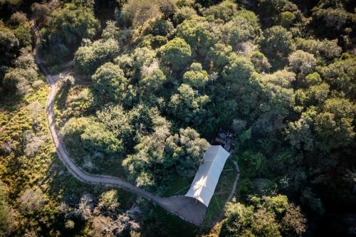 an aerial view of a road in a forest at Quatermain's 1920's Safari Camp – Amakhala Game Reserve in Amakhala Game Reserve
