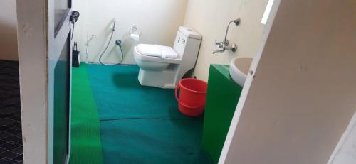 a bathroom with a toilet and a green floor at Full Moon Cottages Pangong Ladakh by LexStays in Kakstet