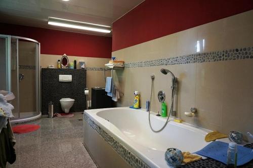 a bathroom with a tub with a shower and a toilet at Wohnen im Gutshaus in Lalendorf