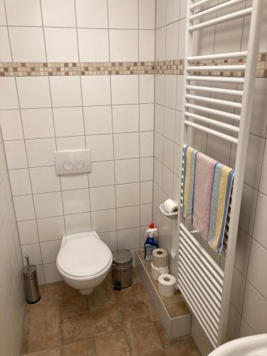 a bathroom with a toilet and a sink at Wohnen im Gutshaus in Lalendorf