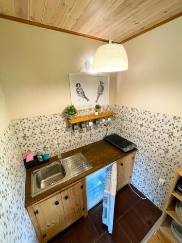 a kitchen with a sink and a counter top at Marga Pieva in Inturkė