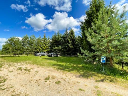 a parking lot with a parking sign next to a pine tree at Marga Pieva in Inturkė