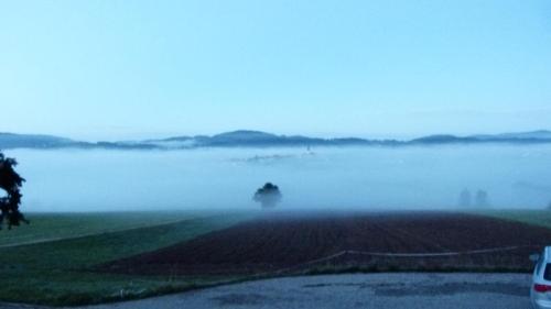 a foggy field with a view of the water at Landhotel SONNENHOF MotorradKrauk in Ulrichsberg