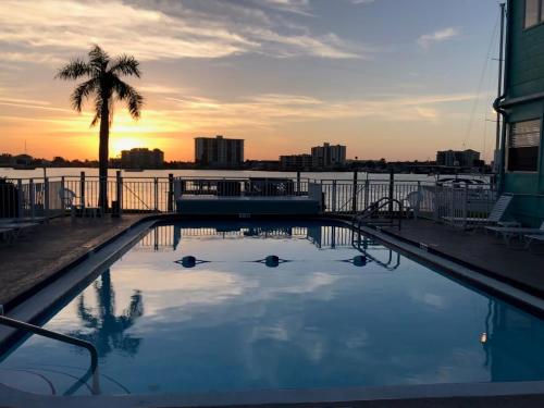 a swimming pool with a palm tree and the water at The Seashell Suite with Private Balcony and Walk to Beach in Clearwater Beach