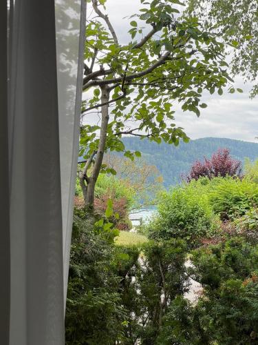 Gallery image of Appartement Buchenhain in Krumpendorf am Wörthersee