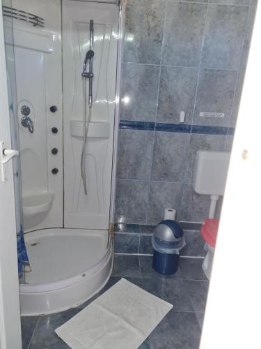 a bathroom with a shower with a toilet and a sink at Vila turistica UDREA in Eforie Sud