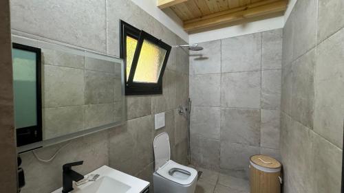 a bathroom with a toilet and a sink and a mirror at Thethi Villas in Theth
